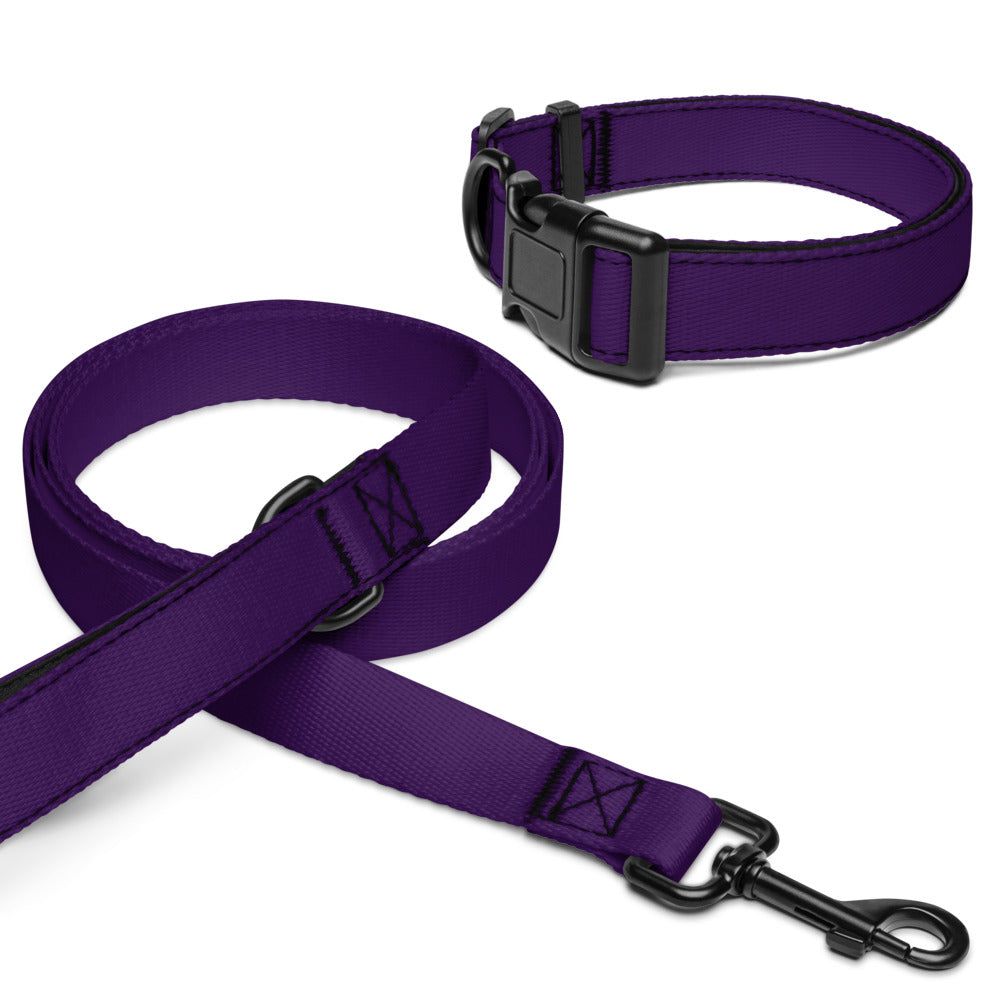 Pet collar & leash
