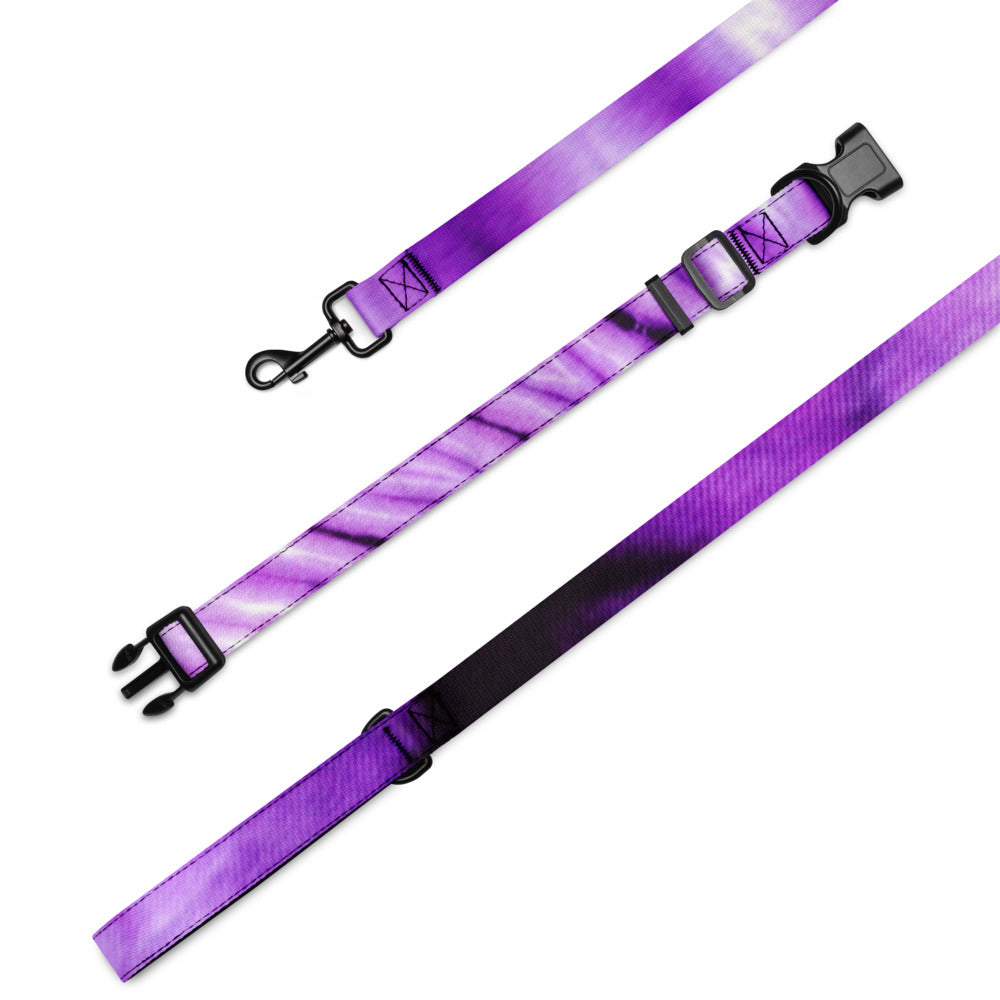 Pet collar & leash