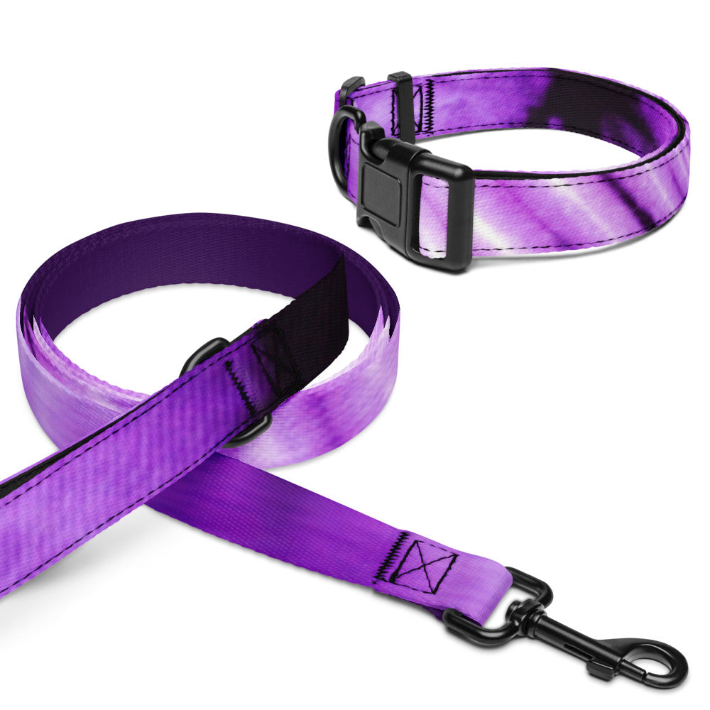 Pet collar & leash
