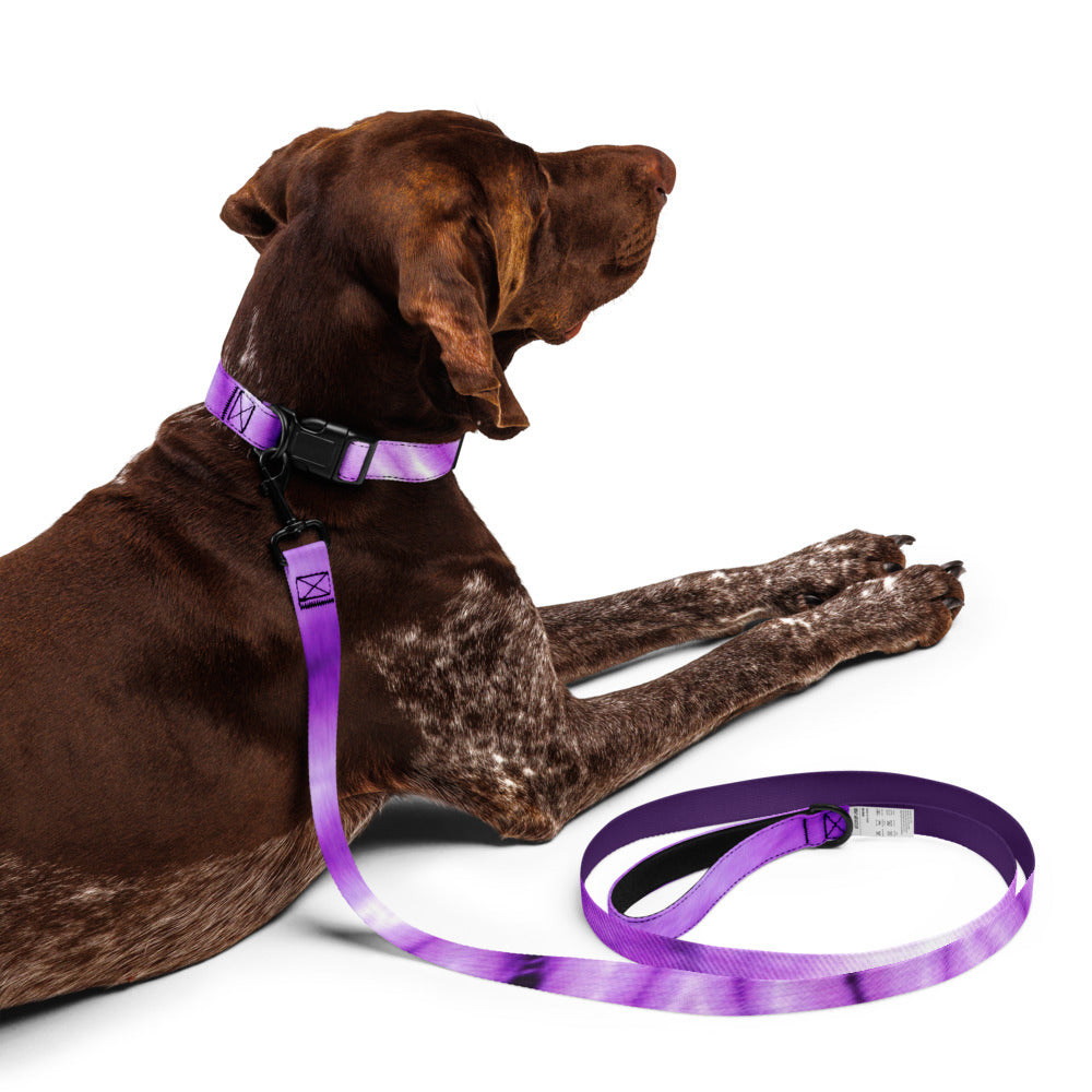 Pet collar & leash