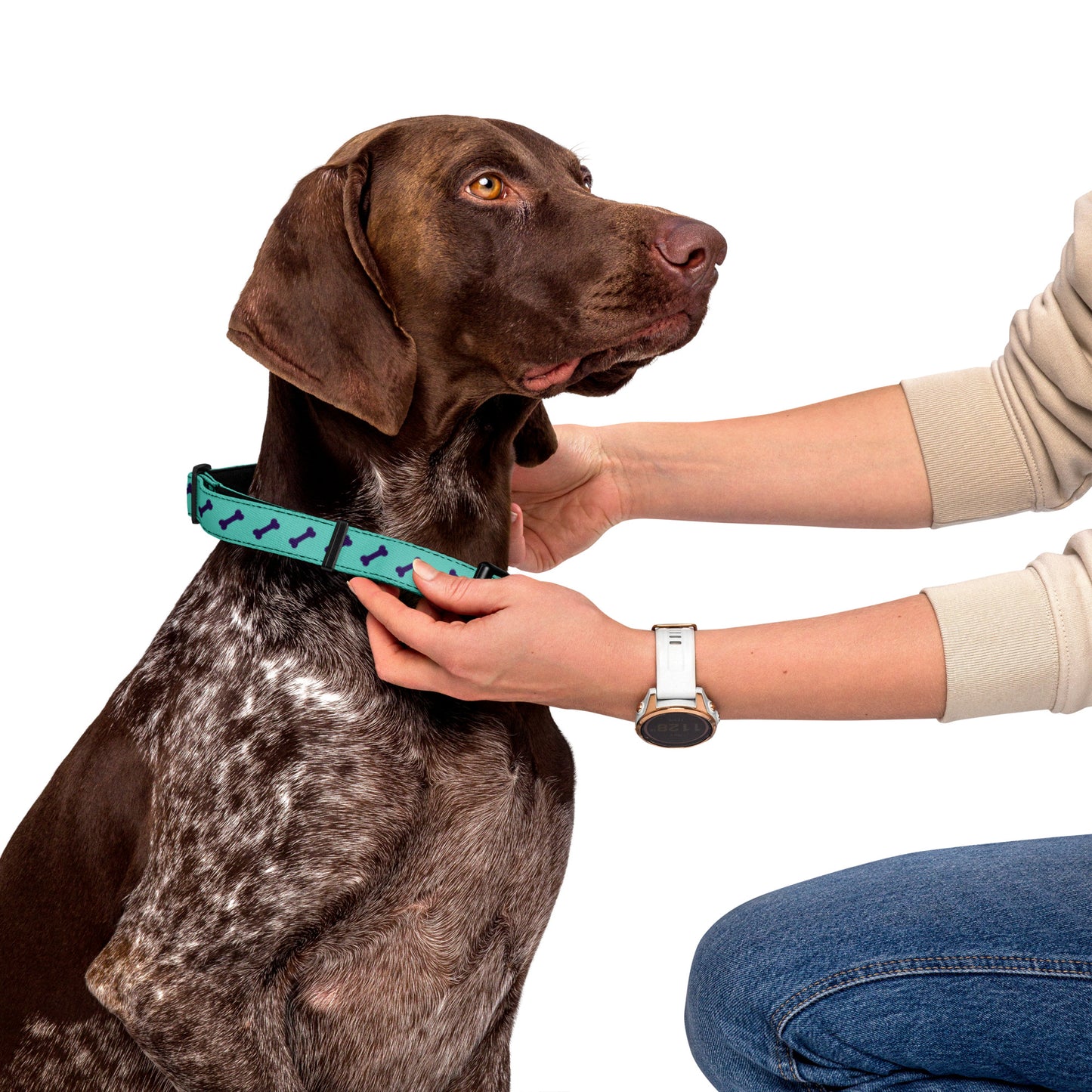 Green Purple Bones Pet collar