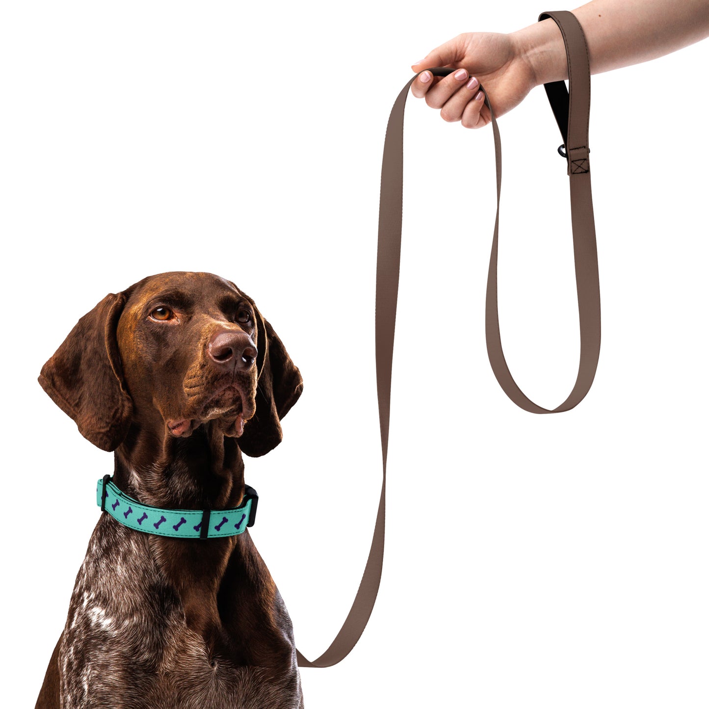 Green Purple Bones Pet collar