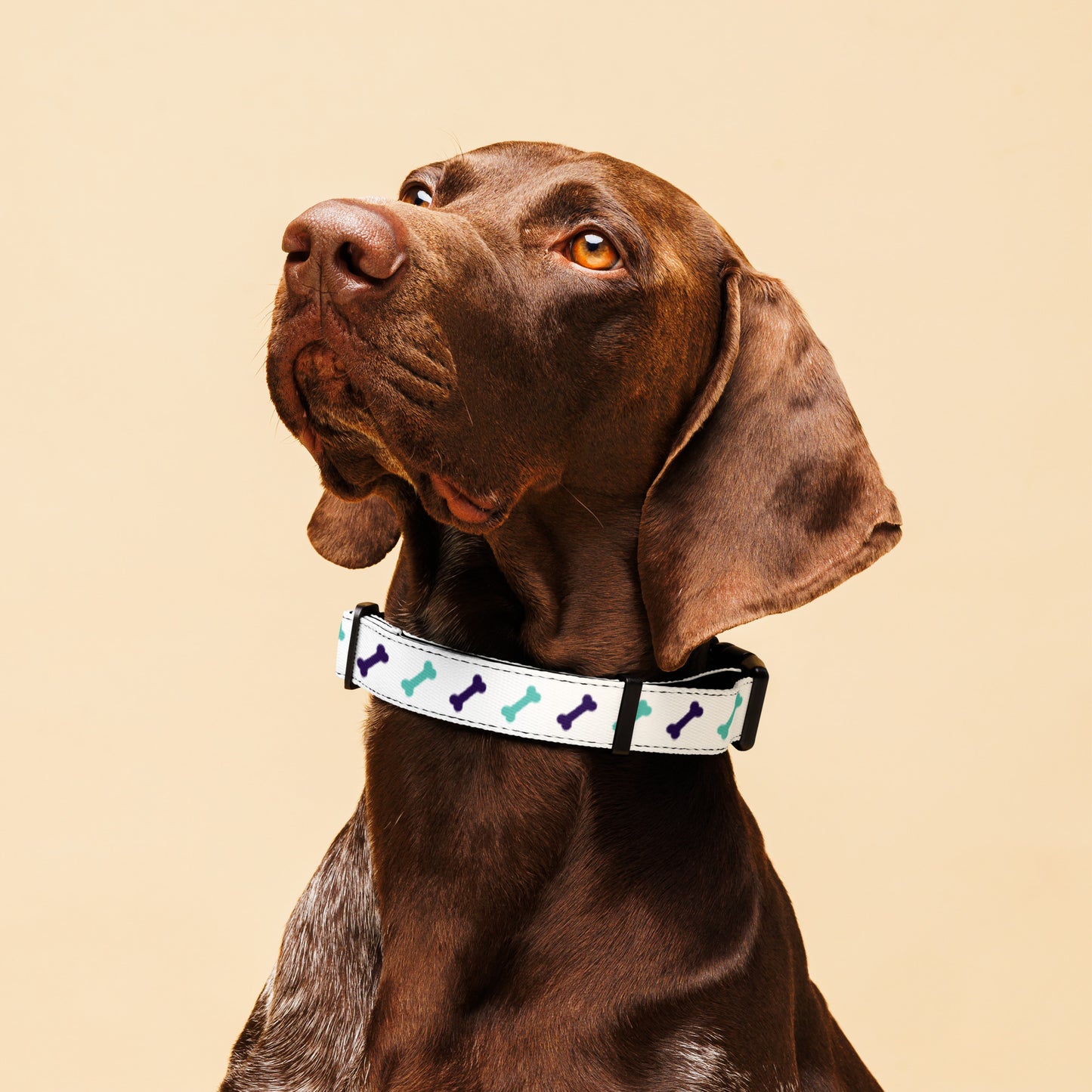 White Green Bones Pet collar