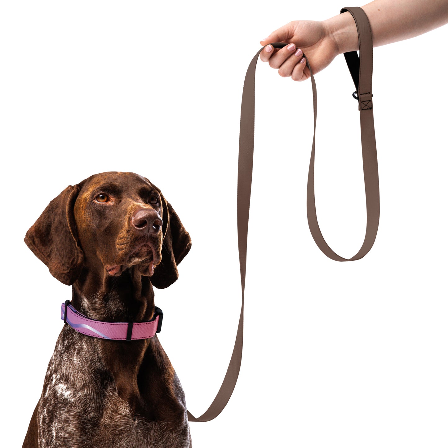 Cancer Ribbon Pet collar