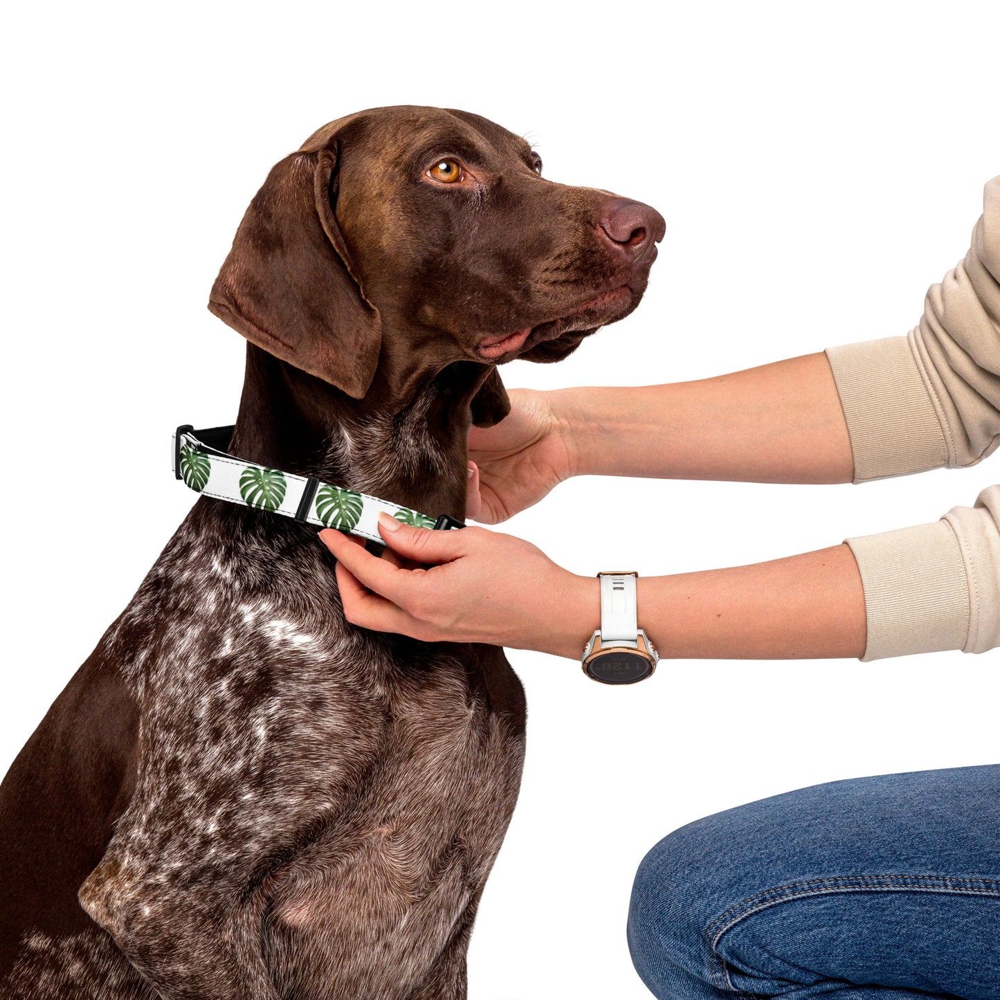 Monstera Leaves Pet collar