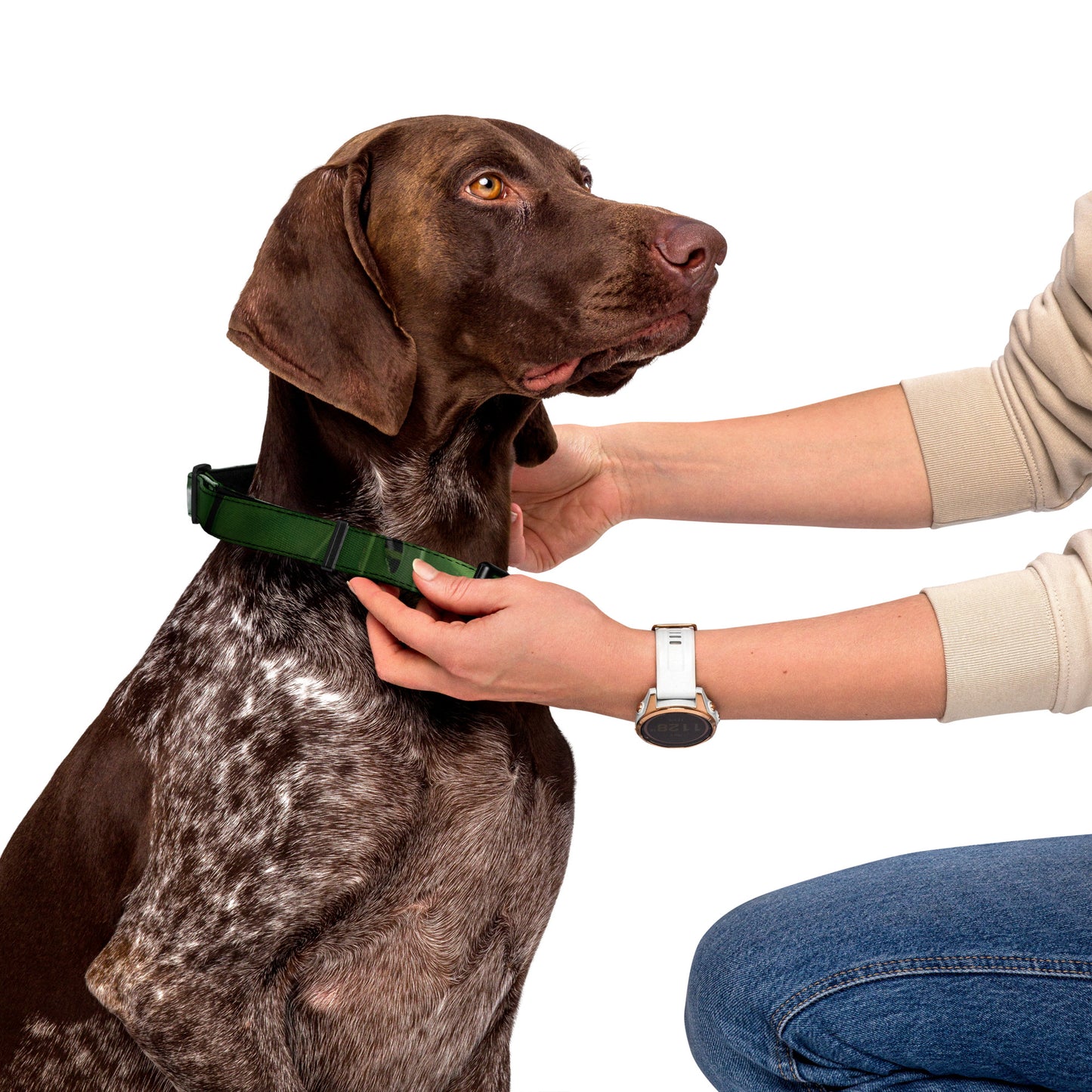Plants Pet collar