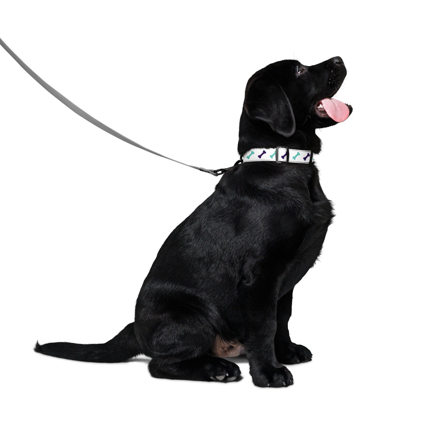 White Green Bones Pet collar